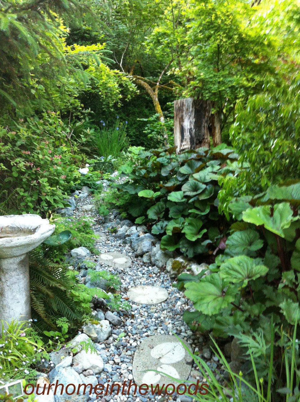 DOWN THE (SHADE) GARDEN PATH - ourhomeinthewoods on Shady Backyard Landscaping
 id=99915